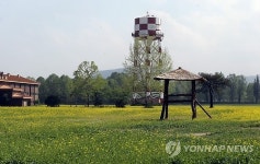 유채꽃밭으로 변신한 춘천 옛 미군기지터