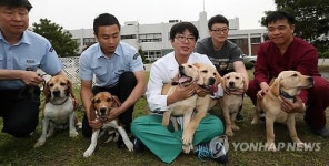 체세포 복제로 탄생한 특수목적견들