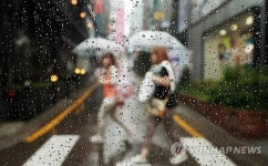 비 내리는 가로수길