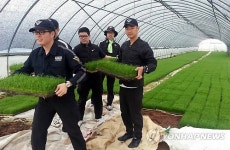 모내기 돕는 군산해경 대원들