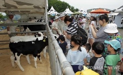 도심 속 목장 나들이