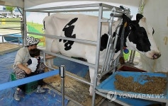 도심 속 목장 나들이