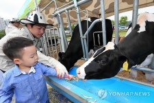 도심에서 목장 체험을