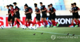 텃세(?)를 이겨야 승리