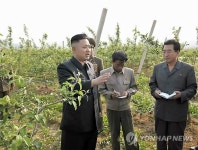 北 김정은 강원도 과수농장 현지지도