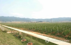 北 강원도 고산과수농장