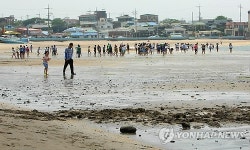 자갈 섞인 제주 해수욕장 모래해변