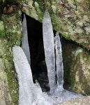 <카메라뉴스> 무더위에 밀양 얼음골 고드름 장관