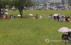 62년만에 걸어보는 춘천 캠프페이지