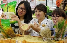 2013년 햇보리 나왔어요!