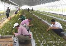 남원시청 직원 일손돕기 구슬땀