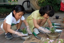재활용 화분에 꽃 심어요