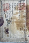 강진 해남윤씨 문중, 목포대에 유물 441점 기증