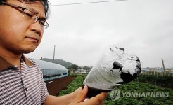 여수에 내린 흑비…공장 분진 유력