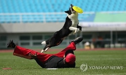 주식회사 엔지니어링 견 | 견공과 함께