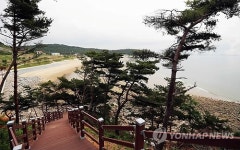 당진 난지도해수욕장 주변 산책로
