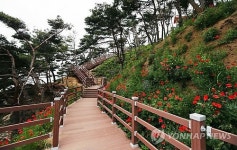 당진 난지도해수욕장 주변 산책로