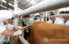 한우 인공수정을 내 손으로