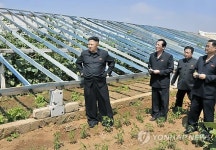 北 김정은, 협동농장 첫 시찰…온실 채소생산 독려