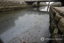 정비공사 준공 앞둔 부산 삼락천 기름 범벅