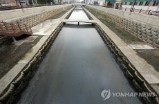 기름 범벅된 부산 삼락천