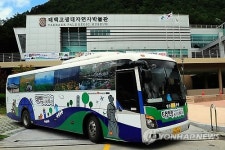 태백 시티투어버스 승차권 시내버스도 이용