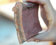 함평에서 왕릉급 백제수장층 고분