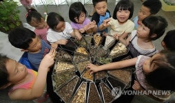 토종 약초로 만든 약재랍니다