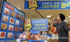 롯데마트 통큰세일