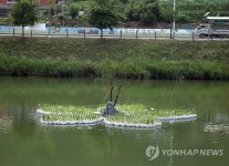 <카메라뉴스> 저수지에 조성한 손바닥공원