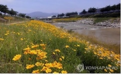 되살아나는 창원 남천
