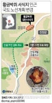 <그래픽> 황금박쥐 서식지 인근 국도 노선계획 변경