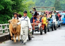 정선 개미들마을 루럴-20 프로젝트에 선정