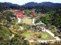 아름다운 태안 안면도자연휴양림