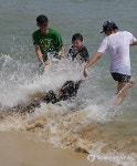 개장 전 피서객 몰린 주문진 해변