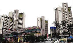 세종시 도램마을아파트 전경