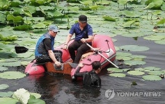 호수 정화활동 벌이는 안산도시공사 직원들