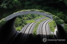  남-북 연결 동해북부선 열차는 달리고 싶다