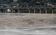 장마와 쓰레기
