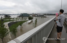 한강공원이 잠기다니