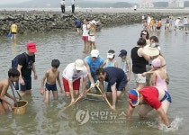 태안 별주부 마을 독살체험 인기