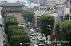 사각형 이발한 수원 정조로 가로수