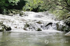 서산 용현계곡에 관광객 북적