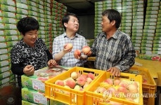 복숭아 설명 듣는 안철수 의원