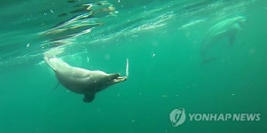 우리 오늘 야생으로 나가요.