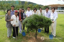 <카메라뉴스> 빛고을노인타운, 장수 소나무 식재