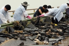 춘천 침수 피해지..자원봉사자 열기