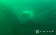 춘삼이매점 | 바다로 가는 춘삼이 '자유다'