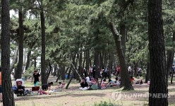 해수욕보다 시원한 소나무 그늘이 좋아요