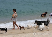 알랑가 몰라∼ 강릉 애견해변